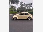 Thumbnail Photo 3 for 1965 Volkswagen Beetle